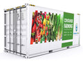 20ft shipping container farms hydroponics china.jpg
