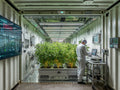 shipping container cannabis cultivation.jpg